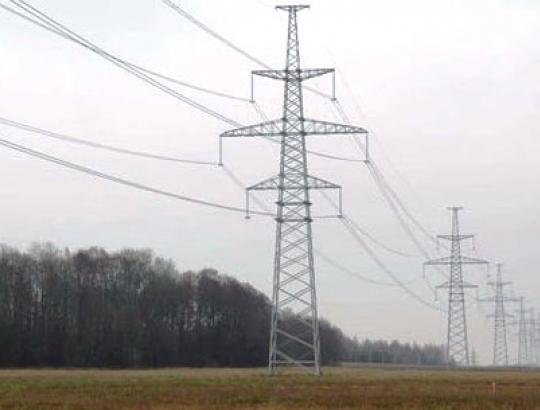 ESO užsimojo kelis kartus praplatinti proskynas palei elektros oro linijas miškuose. Nepaisydami kitų interesų.