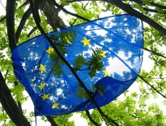 Briuselyje ekspertai aptarė miškų sektoriui svarbias ES priemones ir politikas