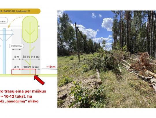 LMSA: Energetikų užmojis panaikinti ~10-12 tūkst.ha miškų, neatlyginant savininkams už iškirstus plotus - nepriimtinas