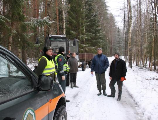 VMT: 2024–aisiais vidinės miškotvarkos projektų skaičius sumažėjo dešimtadaliu