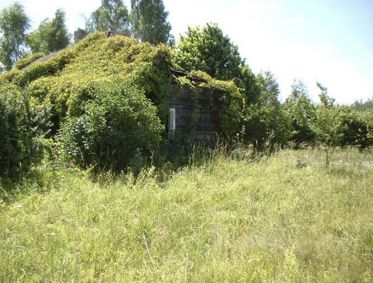 A.Gaidamavičius: dvi skirtingos gamtininkų stovyklos- vieni už žmogų gamtoje, kiti prieš