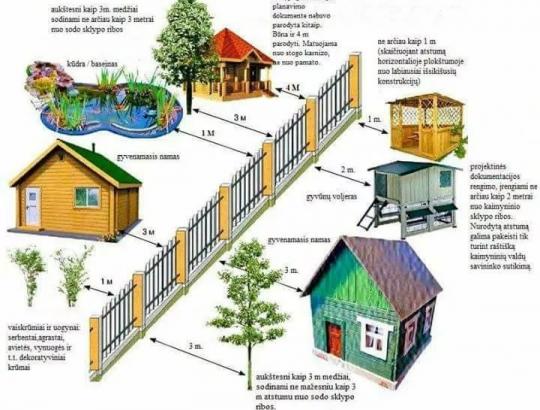 ✅ VTPSI: Kaip teisingai įsirengti tvorą ir kokiu atstumu sodinti želdinius