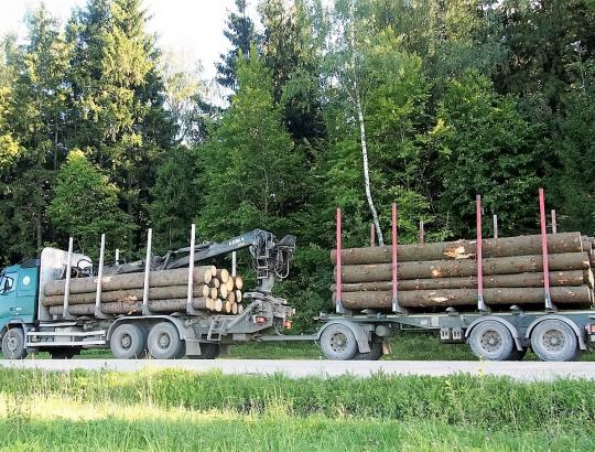 Medienvežius stabdo biurokratiniai barjerai