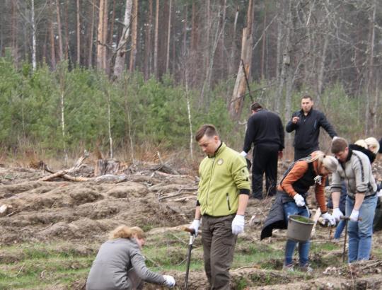 Vilniaus regiono aplinkosaugininkai miškasodžio šventę surengė Dzūkijoje