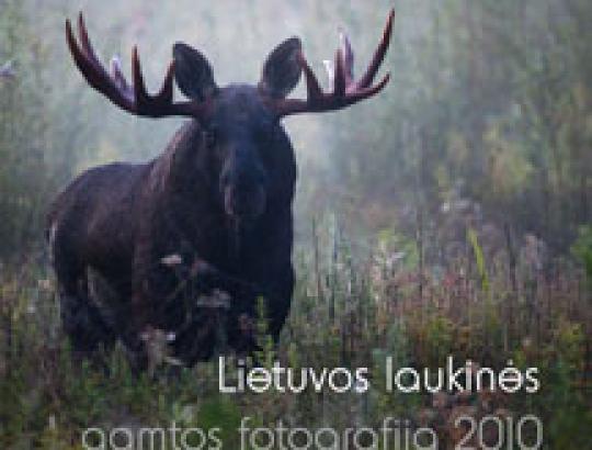 Konkurse „Gintarinis žaltys 2010“ išrinkti geriausi Lietuvos laukinės gamtos fotografai