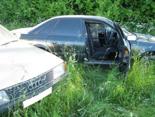 Aplinkos apsaugos inspektoriai galės paprasčiau bausti pažeidėjus  už automobilių stovėjimą neleistinoje vietoje miškuose