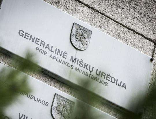 Urėdai: Struktūriniai valstybinio miškų  sektoriaus valdymo pokyčiai yra būtini