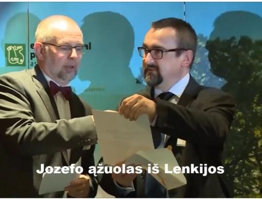 Europos medžio konkurso nugalėtojas 2017 m.- ąžuolas Jozef iš Lenkijos