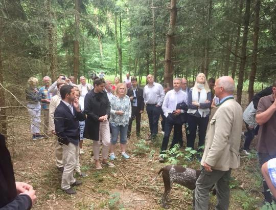 Susipažinome su Austrijos privačių miškų tvarkymu